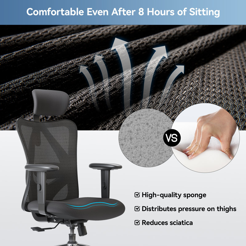 Ebern Designs Ashendon Ergonomic Mesh Task Chair With Headrest ...